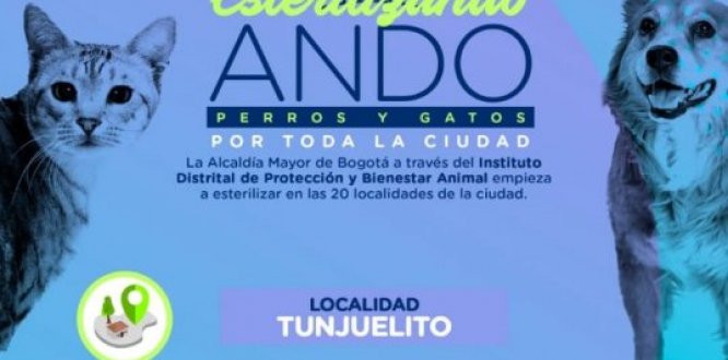 esterilización 2019 esterilización 2019