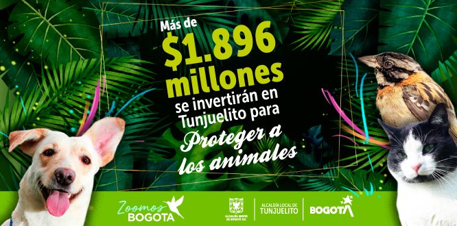 Tunjuelito Inversión PyBA