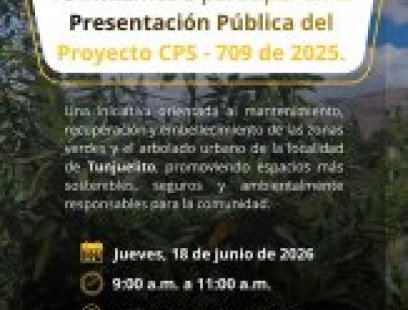 Presentación Pública del Proyecto