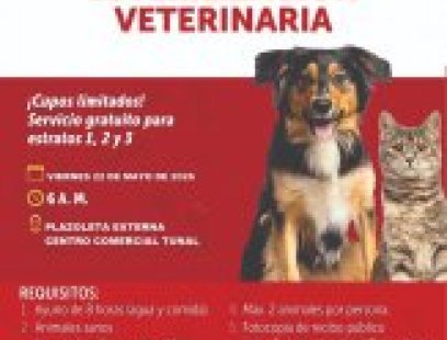 Jornada de ESTERILIZACIÓN VETERINARIA - Tunjuelito