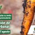 Huertas en Tunjuelito