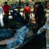 Fotografía de operativo integral en el sector de El Tunal