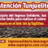 Ingreso Solidario